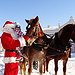 BucketList + Ride A Horse-Drawn Sleigh In ... = ✓