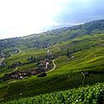 BucketList + Visit Vineyards In Italy. = ✓