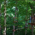 BucketList + Complete The Go Ape Adventure ... = ✓