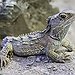BucketList + Visit Reptiland, Allenwood, Pa = ✓