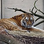 BucketList + Visit A Zoo = ✓