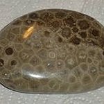 BucketList + Find A Petoskey Stone = ✓