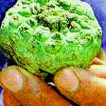 BucketList + Have A Trippppy Trip!!! ;P = ✓