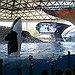 BucketList + Go To Seaworld = ✓
