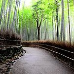 BucketList + Go Arashiyama, Kyoto, Japan = ✓