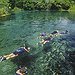BucketList + Go Snorkeling = ✓