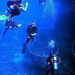 BucketList + Go Deep Sea Diving = ✓