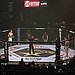 BucketList + Watch A Ufc Fight Live = ✓
