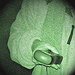 BucketList + Go On A Ghost Hunt = ✓