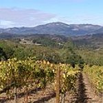 BucketList + Travel To The California Wine ... = ✓