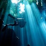 BucketList + Dive In The Red Sea = ✓