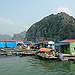 BucketList + See Halong Bay In Vietnam = ✓