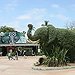 BucketList + Visit Every Zoo In America = ✓