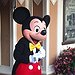 BucketList + Visit Disney World = ✓