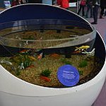BucketList + Go To The Ripley's Aquarium ... = ✓