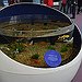 BucketList + Go To The Ripley's Aquarium ... = ✓