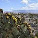 BucketList + Camp In Big Bend National ... = ✓