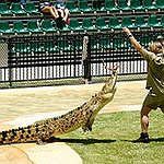 BucketList + Visit Australia Zoo = ✓
