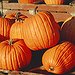 BucketList + Pick My Own Pumkin = ✓