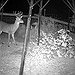 BucketList + Go Deer Hunting. = ✓