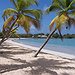 BucketList + Retire To A Tropical Location. = ✓
