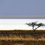 BucketList + Tour The Etosha Pan = ✓