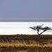 BucketList + Tour The Etosha Pan = ✓