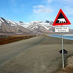BucketList + Visit Svalbard = ✓