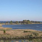 BucketList + See The Chesapeake Bay = ✓