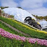 BucketList + Go To The Eden Project = ✓