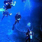 BucketList + Learn To Scuba Dive. = ✓