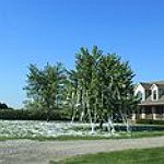 BucketList + Teepee A House. = ✓
