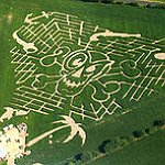 BucketList + Walk A Corn Maze = ✓