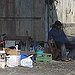 BucketList + Give A Homeless Person A ... = ✓