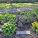 BucketList + Grow A Garden = ✓