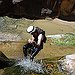 BucketList + Να Μάθω Να Κάνω Canyoning = ✓