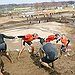 BucketList + Do Tough Mudder = ✓