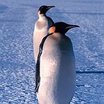 BucketList + Camp In Antarctica = ✓