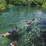 BucketList + Go Snorkeling In A Coral ... = ✓