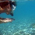 BucketList + Swim With Sharks = ✓