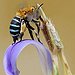 BucketList + Raise My Own Bees = ✓