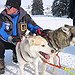 BucketList + Go Husky Sledging = ✓