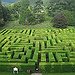 BucketList + Wander A Hedge Maze = ✓