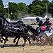 BucketList + Ride In A Carriage = ✓