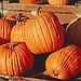 BucketList + Bake Pumpkin-Related Treats = ✓