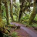 BucketList + Visit Forks Washington = ✓