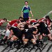 BucketList + Go On A Lions Tour = ✓