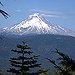 BucketList + Climb Mt. Hood = ✓
