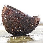 BucketList + Drink From A Coconut = ✓