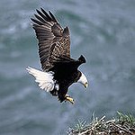 BucketList + Make A Difference In At ... = ✓